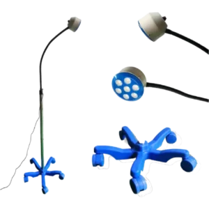 Examination Ot Light